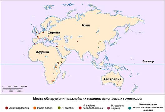 Искажена Ли Форма Материков На Карте