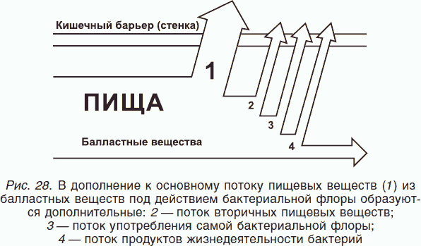очищение кишечника содой от паразитов очищение кишечника содой от паразитов