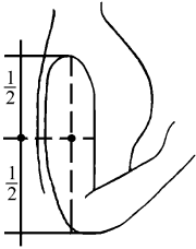 developments in partial differential equations